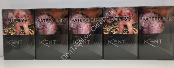 Сигареты Kent Silver Nano оптом 